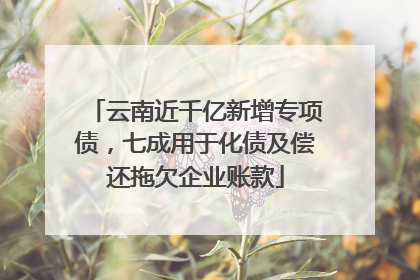 云南近千亿新增专项债，七成用于化债及偿还拖欠企业账款