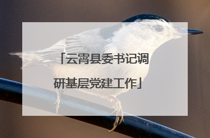 云霄县委书记调研基层党建工作
