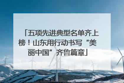 五项先进典型名单齐上榜！山东用行动书写“美丽中国”齐鲁篇章