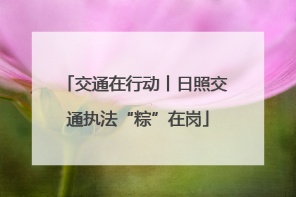 交通在行动丨日照交通执法“粽”在岗