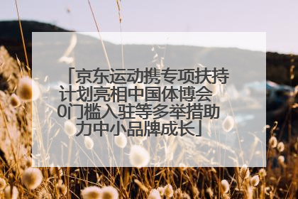 京东运动携专项扶持计划亮相中国体博会 0门槛入驻等多举措助力中小品牌成长