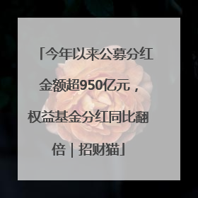 今年以来公募分红金额超950亿元，权益基金分红同比翻倍｜招财猫
