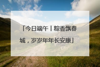 今日端午丨粽香飘春城，岁岁年年长安康