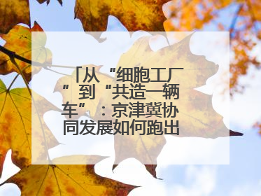 从“细胞工厂”到“共造一辆车”：京津冀协同发展如何跑出“加速度”？