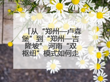 从“郑州—卢森堡”到“郑州—吉隆坡” 河南“双枢纽”模式如何走向全球