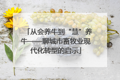 从会养牛到“慧”养牛——聊城市畜牧业现代化转型的启示