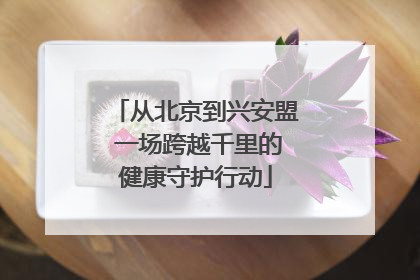 从北京到兴安盟 一场跨越千里的健康守护行动