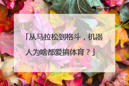 从马拉松到格斗，机器人为啥都爱搞体育？