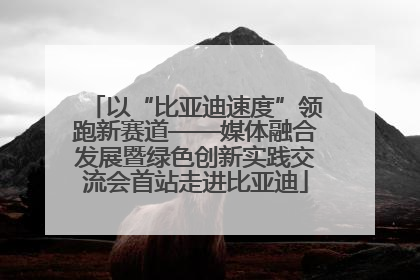 以“比亚迪速度”领跑新赛道——媒体融合发展暨绿色创新实践交流会首站走进比亚迪