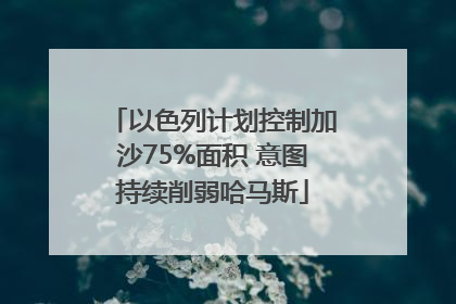 以色列计划控制加沙75%面积 意图持续削弱哈马斯