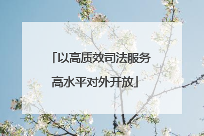 以高质效司法服务高水平对外开放