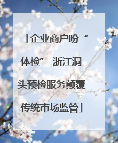 企业商户盼“体检” 浙江洞头预检服务颠覆传统市场监管