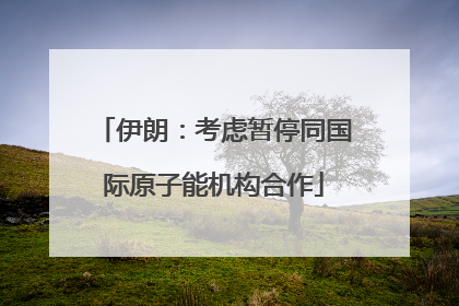 伊朗：考虑暂停同国际原子能机构合作