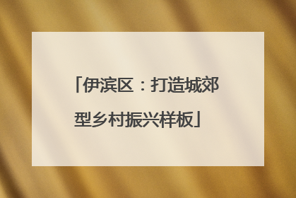 伊滨区：打造城郊型乡村振兴样板