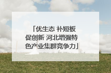 优生态 补短板 促创新 河北增强特色产业集群竞争力
