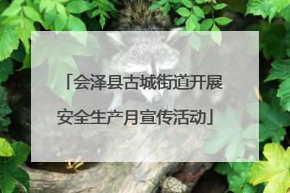 会泽县古城街道开展安全生产月宣传活动