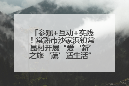 参观+互动+实践！常熟市沙家浜镇常昆村开展“爱‘新’之旅‘蔬’适生活”参观学习活动
