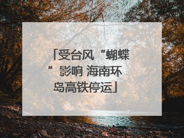 受台风“蝴蝶”影响 海南环岛高铁停运