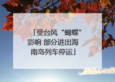 受台风“蝴蝶”影响 部分进出海南岛列车停运