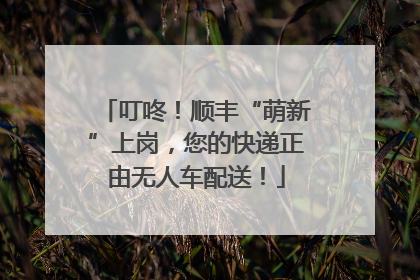 叮咚！顺丰“萌新”上岗，您的快递正由无人车配送！