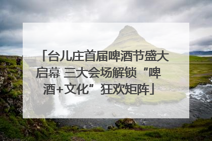 台儿庄首届啤酒节盛大启幕 三大会场解锁“啤酒+文化”狂欢矩阵