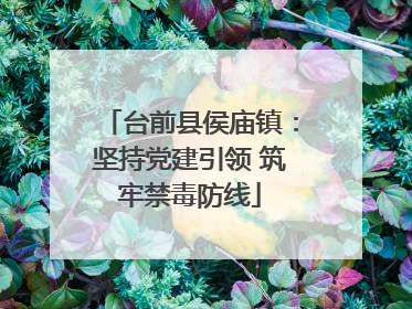台前县侯庙镇：坚持党建引领 筑牢禁毒防线