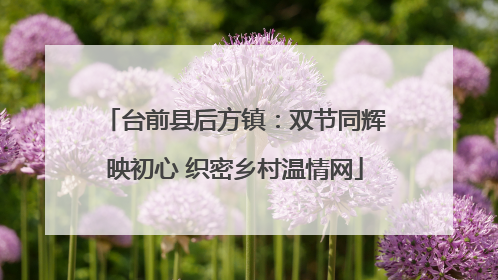 台前县后方镇：双节同辉映初心 织密乡村温情网