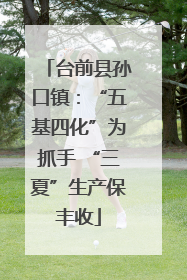 台前县孙口镇：“五基四化”为抓手 “三夏”生产保丰收