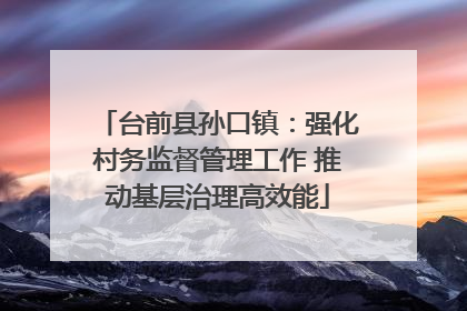 台前县孙口镇：强化村务监督管理工作 推动基层治理高效能