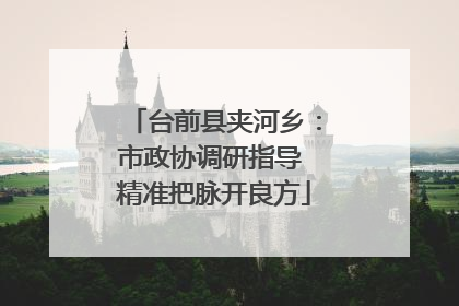 台前县夹河乡：市政协调研指导 精准把脉开良方