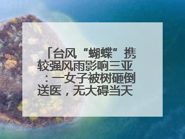 台风“蝴蝶”携较强风雨影响三亚：一女子被树砸倒送医，无大碍当天回家 当地已紧急清障