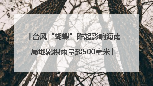 台风“蝴蝶”昨起影响海南 局地累积雨量超500毫米
