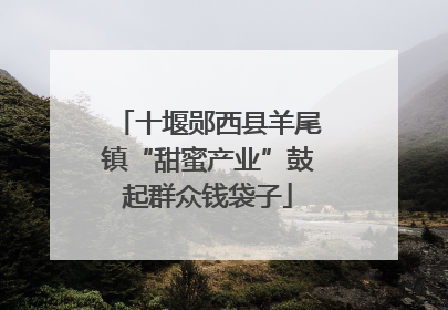 十堰郧西县羊尾镇“甜蜜产业”鼓起群众钱袋子