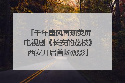 千年唐风再现荧屏 电视剧《长安的荔枝》西安开启首场观影