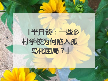 半月谈：一些乡村学校为何陷入孤岛化困局？