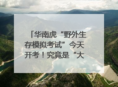 华南虎“野外生存模拟考试”今天开考！究竟是“大猫” 还是顶级猎食者？