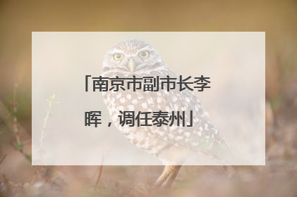 南京市副市长李晖，调任泰州