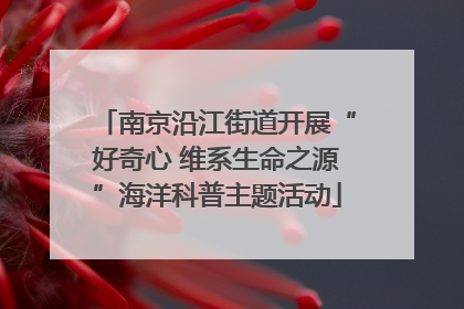 南京沿江街道开展“好奇心 维系生命之源”海洋科普主题活动