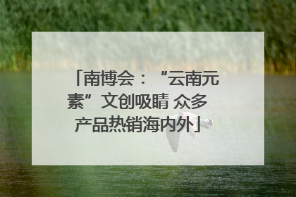 南博会：“云南元素”文创吸睛 众多产品热销海内外