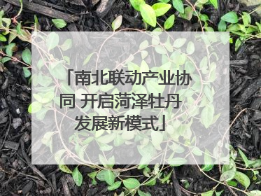 南北联动产业协同 开启菏泽牡丹发展新模式