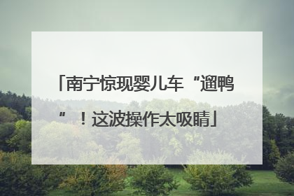 南宁惊现婴儿车“遛鸭”！这波操作太吸睛