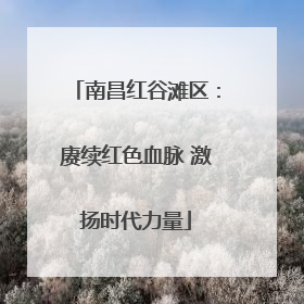 南昌红谷滩区：赓续红色血脉 激扬时代力量