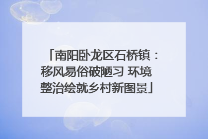 南阳卧龙区石桥镇：移风易俗破陋习 环境整治绘就乡村新图景