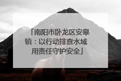 南阳市卧龙区安皋镇：以行动排查水域 用责任守护安全