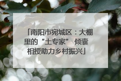 南阳市宛城区：大棚里的“土专家” 倾囊相授助力乡村振兴