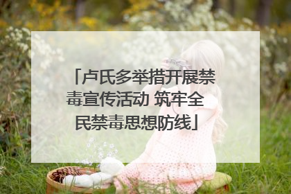 卢氏多举措开展禁毒宣传活动 筑牢全民禁毒思想防线