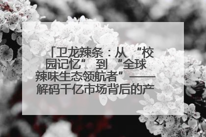 卫龙辣条：从 “校园记忆” 到 “全球辣味生态领航者”——解码千亿市场背后的产品创新与全链路破圈