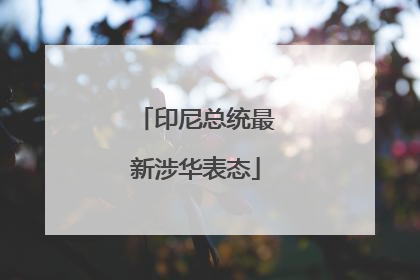 印尼总统最新涉华表态