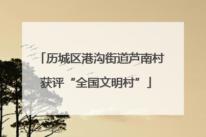 历城区港沟街道芦南村获评“全国文明村”