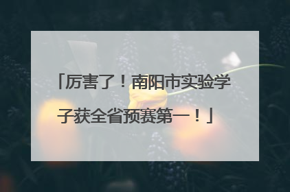 厉害了！南阳市实验学子获全省预赛第一！